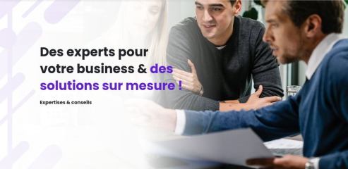 https://www.expertises-conseils.fr